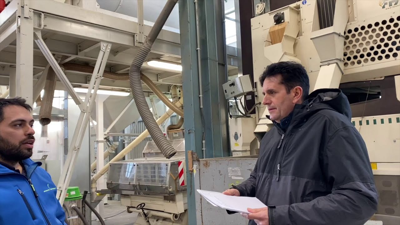 GREEN TV® Produzione del seme... Come avviene? - Padana Sementi