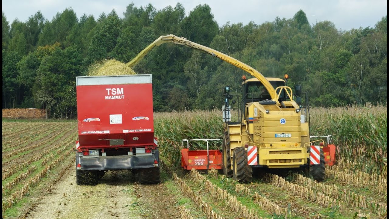 Maisernte 2014 mit New Holland, Fendt und Steyr