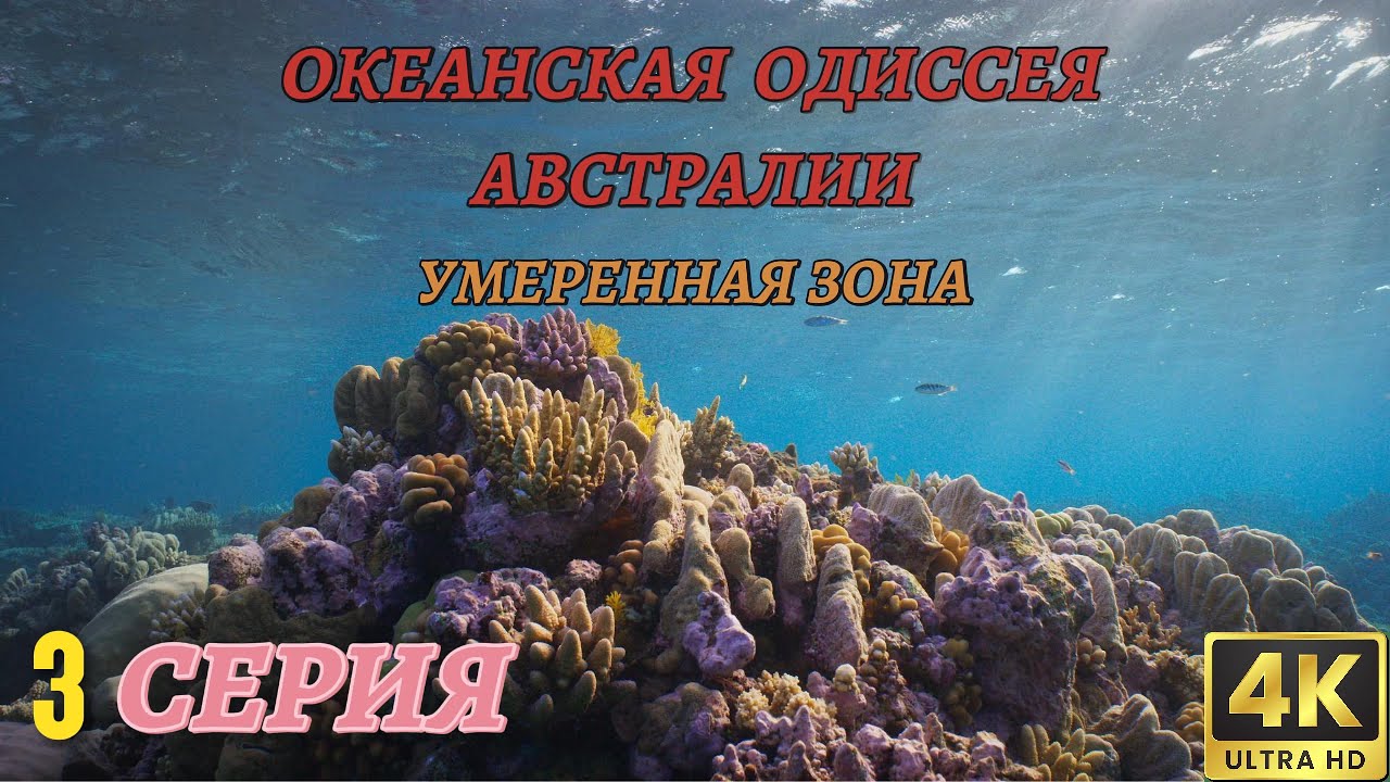 Мир Дикой Природы. Австралия и Океания. Документальный Фильм 4K. 3 серия из 3