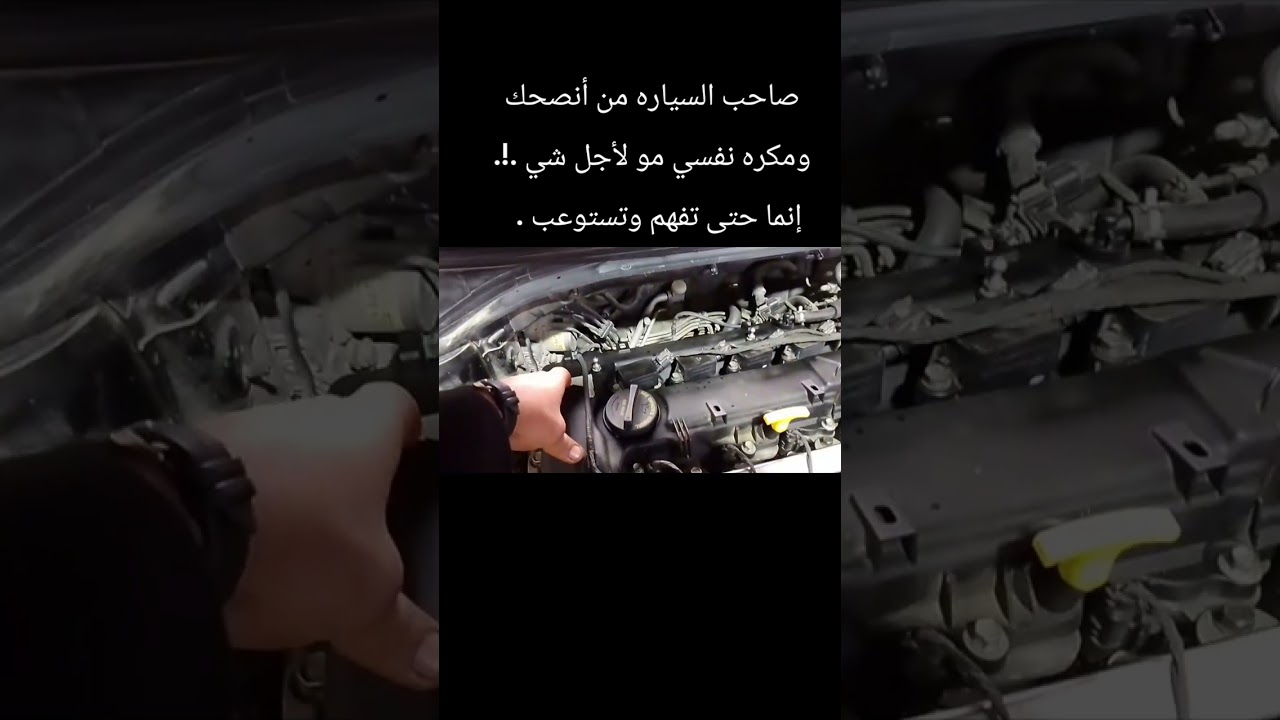عندك عقل وتگدر تميز من خلاله .