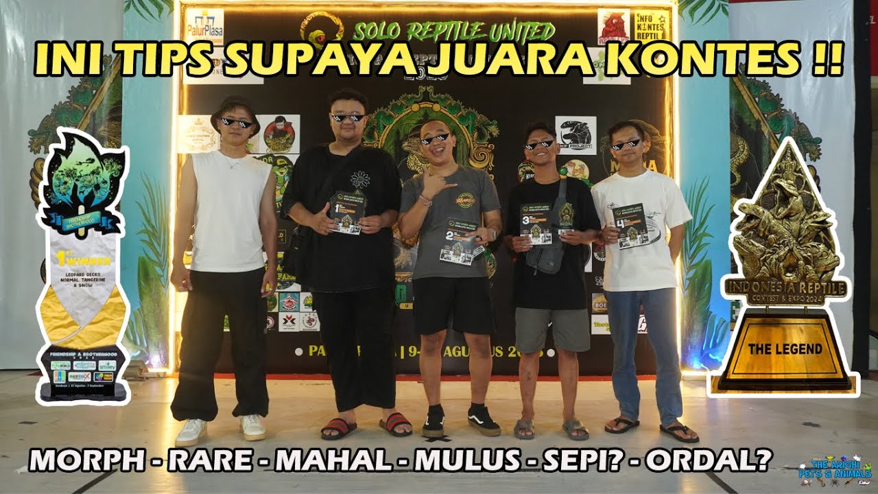 Beberapa Kriteria dan Penilaian Juri supaya Menang Kontes Reptil (TERBARU !!) 🐍🏆