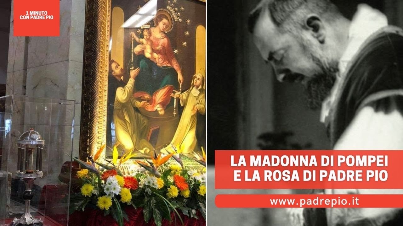 La Madonna di Pompei e la rosa di Padre Pio