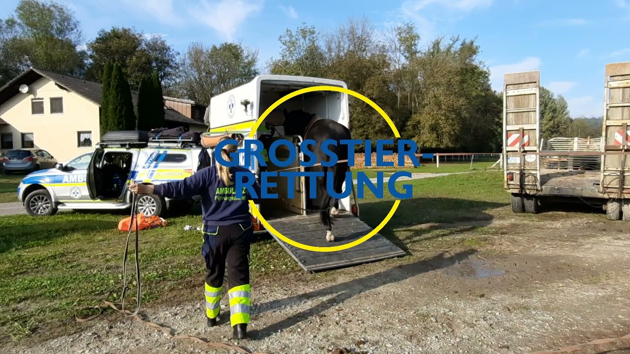 EHRENAMT TIERAMBULANZ NIEDERBAYERN