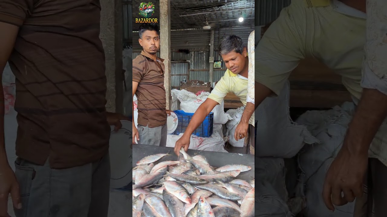 ইলিশ।#BMW #bazardor #viralvideo #fish #fishing #bazarupdate #shortvideo