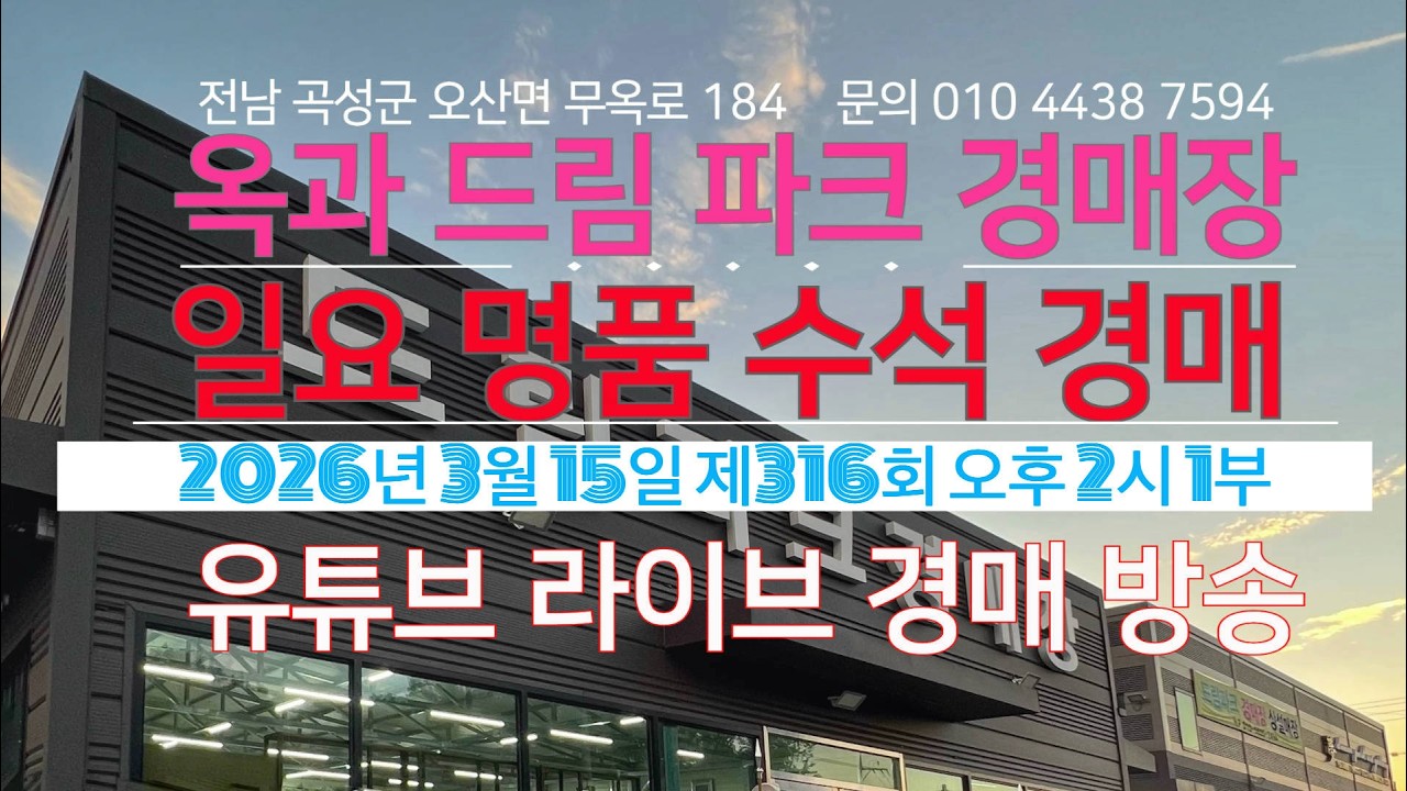 옥과 드림파크 경매장/2026년 3월 15일 일 오후 2시 1부 /제316회 일요 명품 수석 경매 /문의 010 4438 7594/