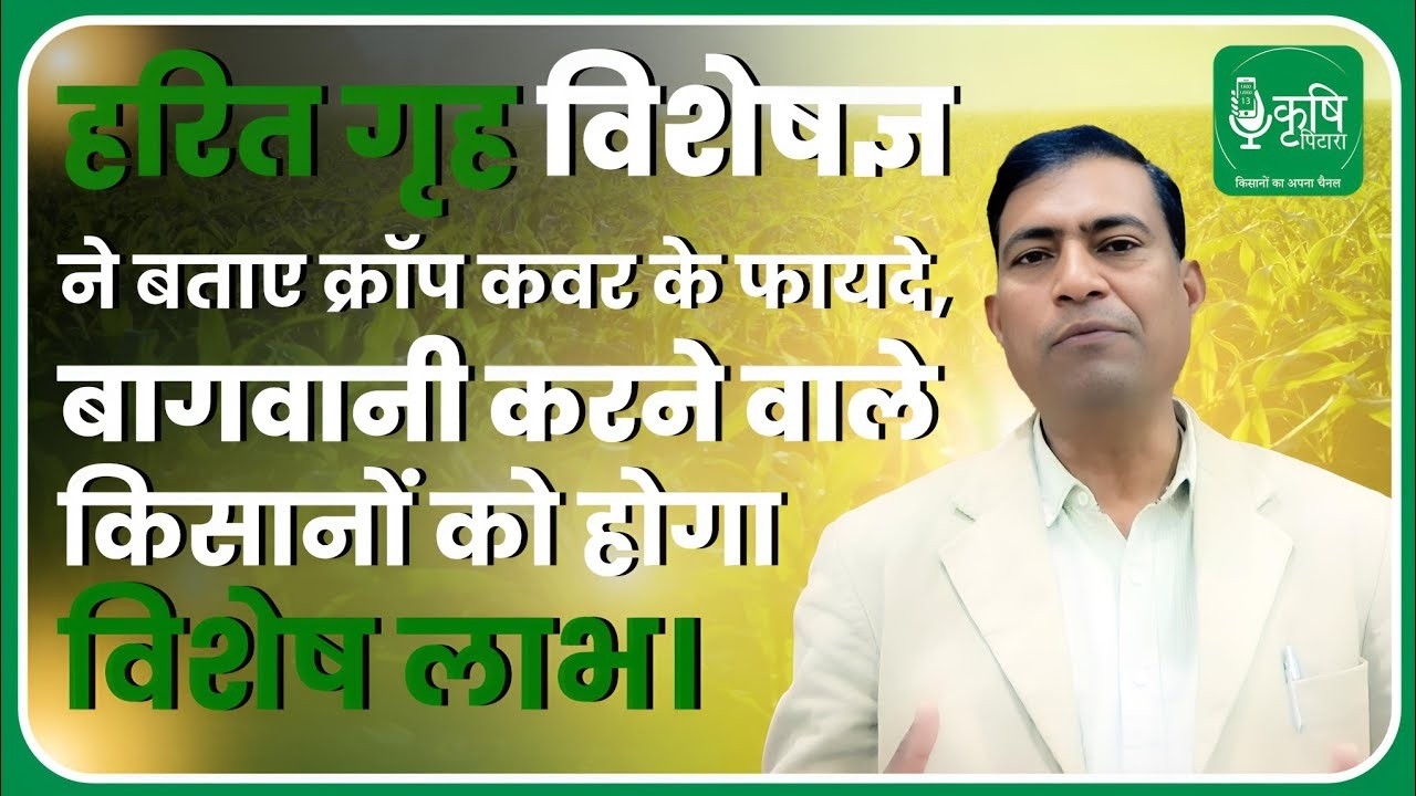 क्रॉप कवर क्या है? Benefits of Crops Cover | How to Protect Horticulture Crops? Expert Advice
