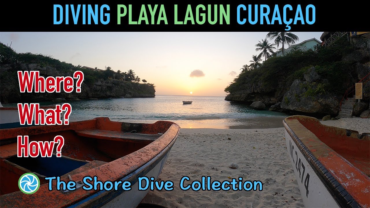 Diving Playa Lagun, Cura&ccedil;ao | The Shore Dive Collection | TropicLens   4K