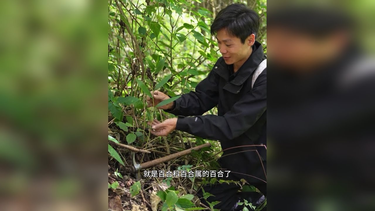 观看视频不要以点概面，请看完看懂视频在评论，爱护保护珍惜植物是所有公民应尽的义务，全方面的科普是让更多的人认识并提升保护意识，谁也不希望将来的后代只能在教科书上看到