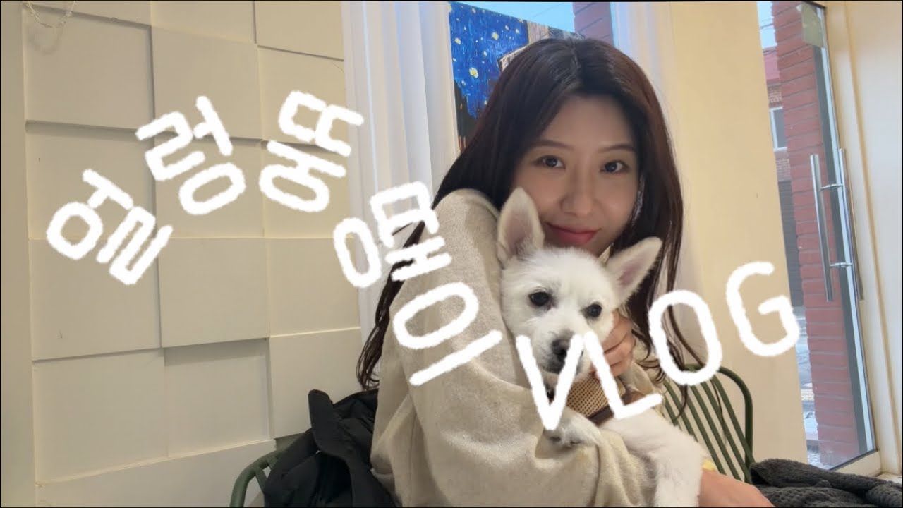 VLOG 얼렁뚱땡이의 달밝 아구찜 치킨 그리고 또 알콜…