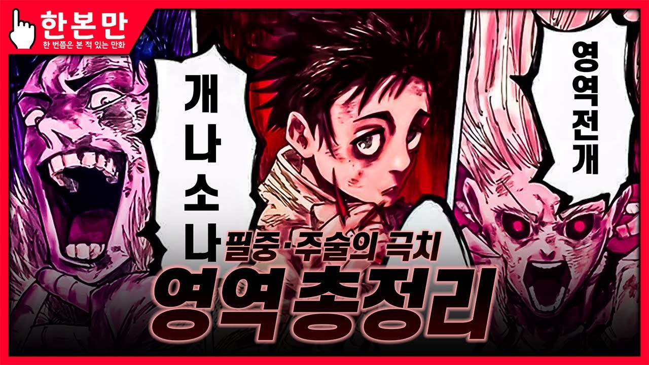 [한본만] 헷갈리는 주술회전의 영역 총정리 (미허갈롱, 전개, 낙화의 정 등)