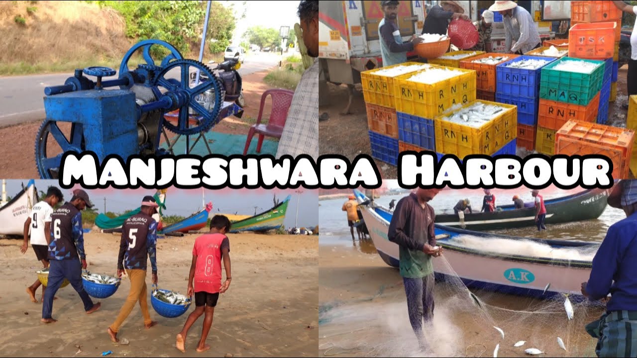 Manjeshwara harbour l manjeshwara fishing harbour l star vlogs in tulu l manjeshwara beach l fishing
