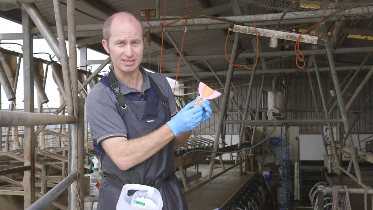 Dry Cow Treatment
