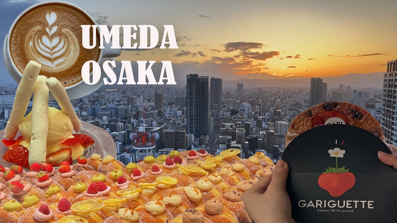 🍣🍶🍰 ГАСТРОНОМИЧНЫЙ ТУР В УМЭДУ 🍓🍛🍢