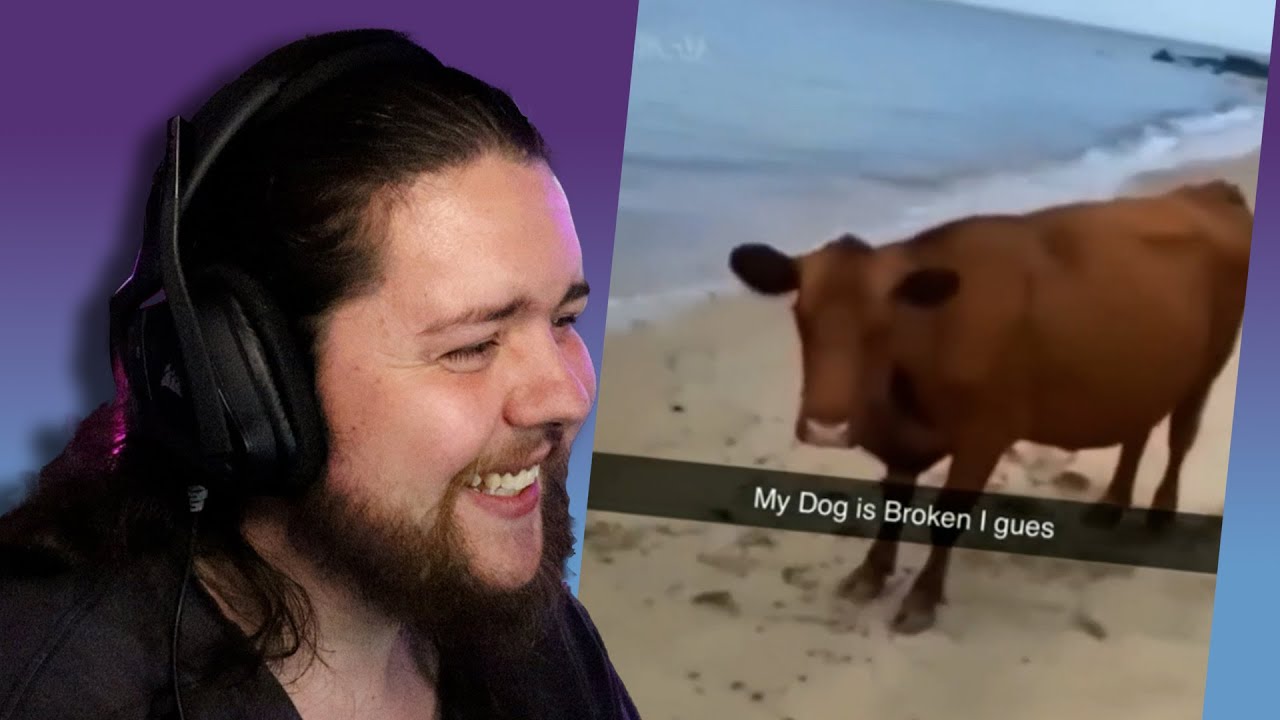 You Laugh, You Lose But The Dog Is Broken | TikTok Edition