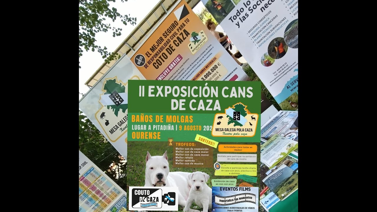 II EXPOSICION  DE CANS DE CAZA DE BAÑOS DE MOLGAS