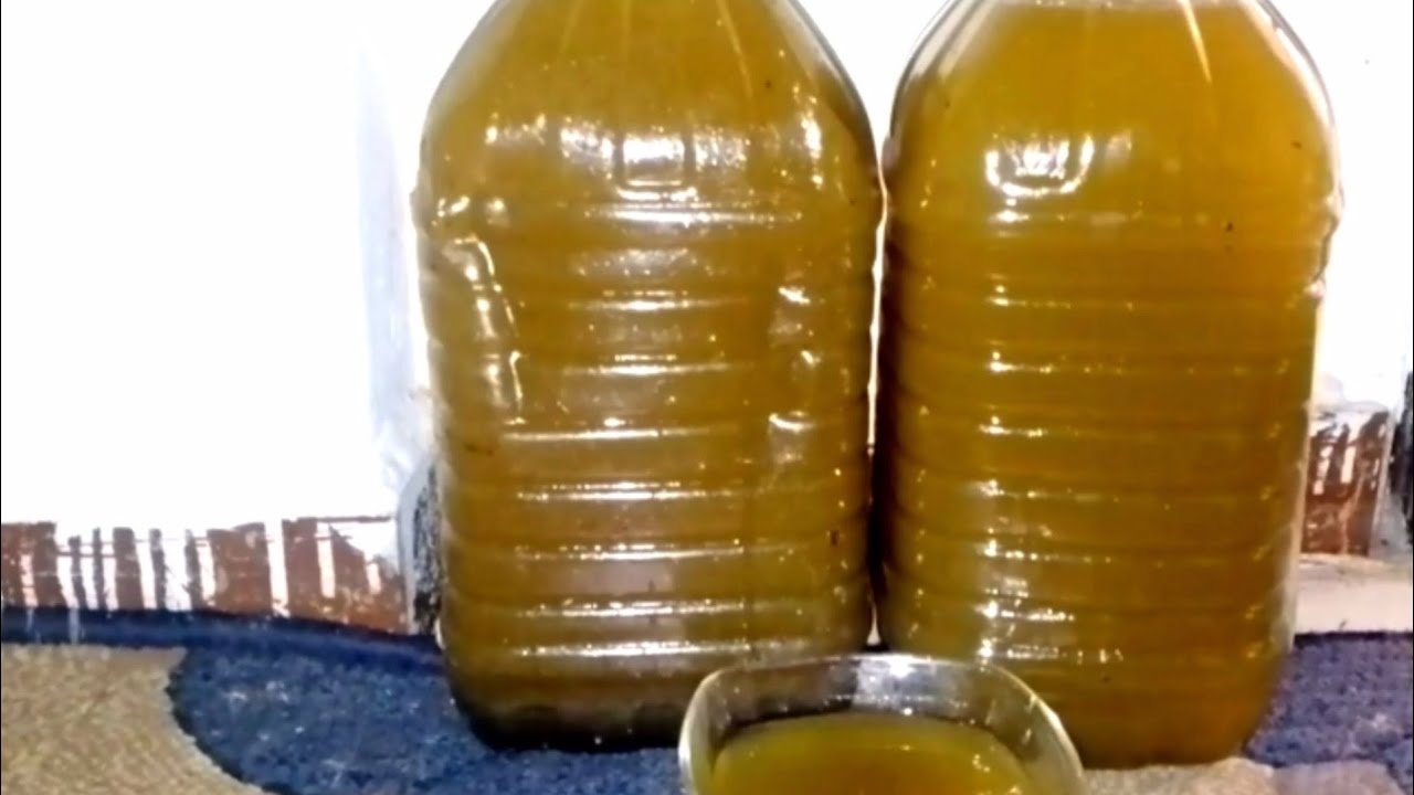 طريقتي بإستخراج زيت الزيتون عالبارد🫒 من خمسه كيلو زيتون الزيت بكميات كبيره