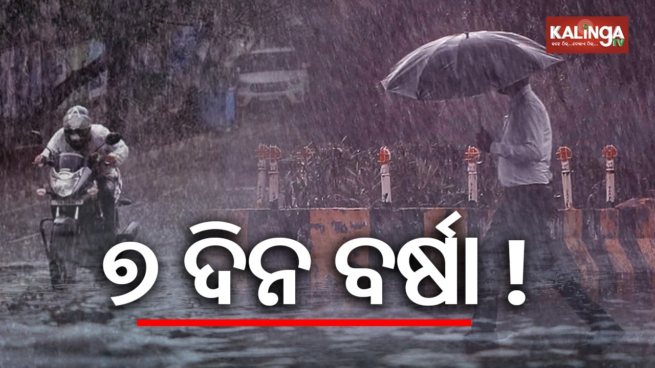 IMD issues rain alert for Odisha, sounds yellow warnings for 7 days | Kalinga TV