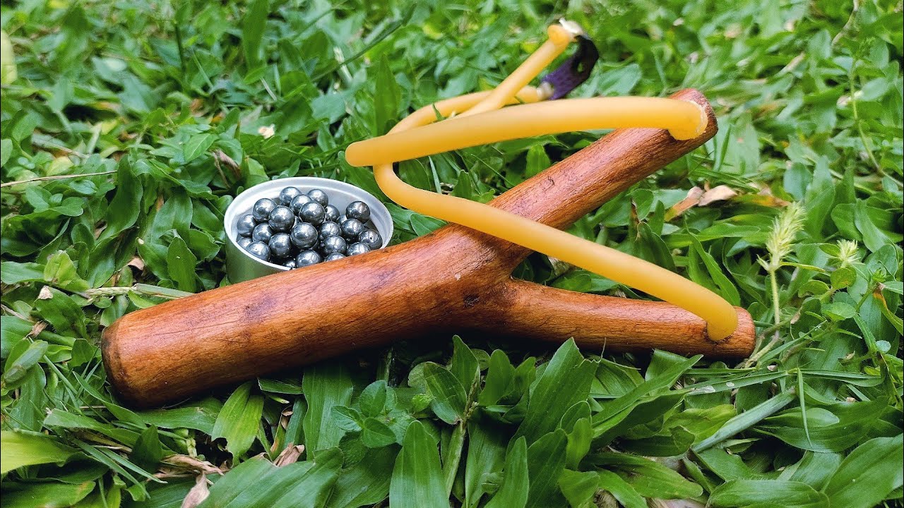 Making a slingshot from a tree branch is easy | make a slingshot at home | make a slingshot