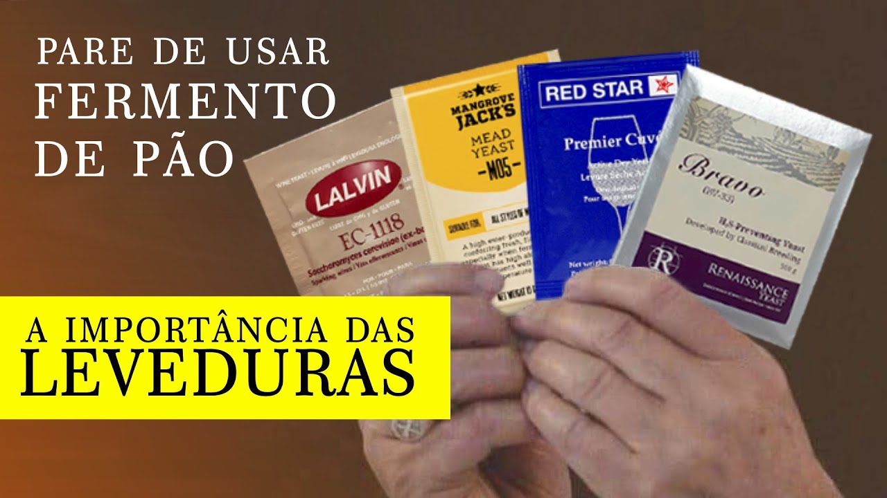 A Importância das Leveduras para Hidromel
