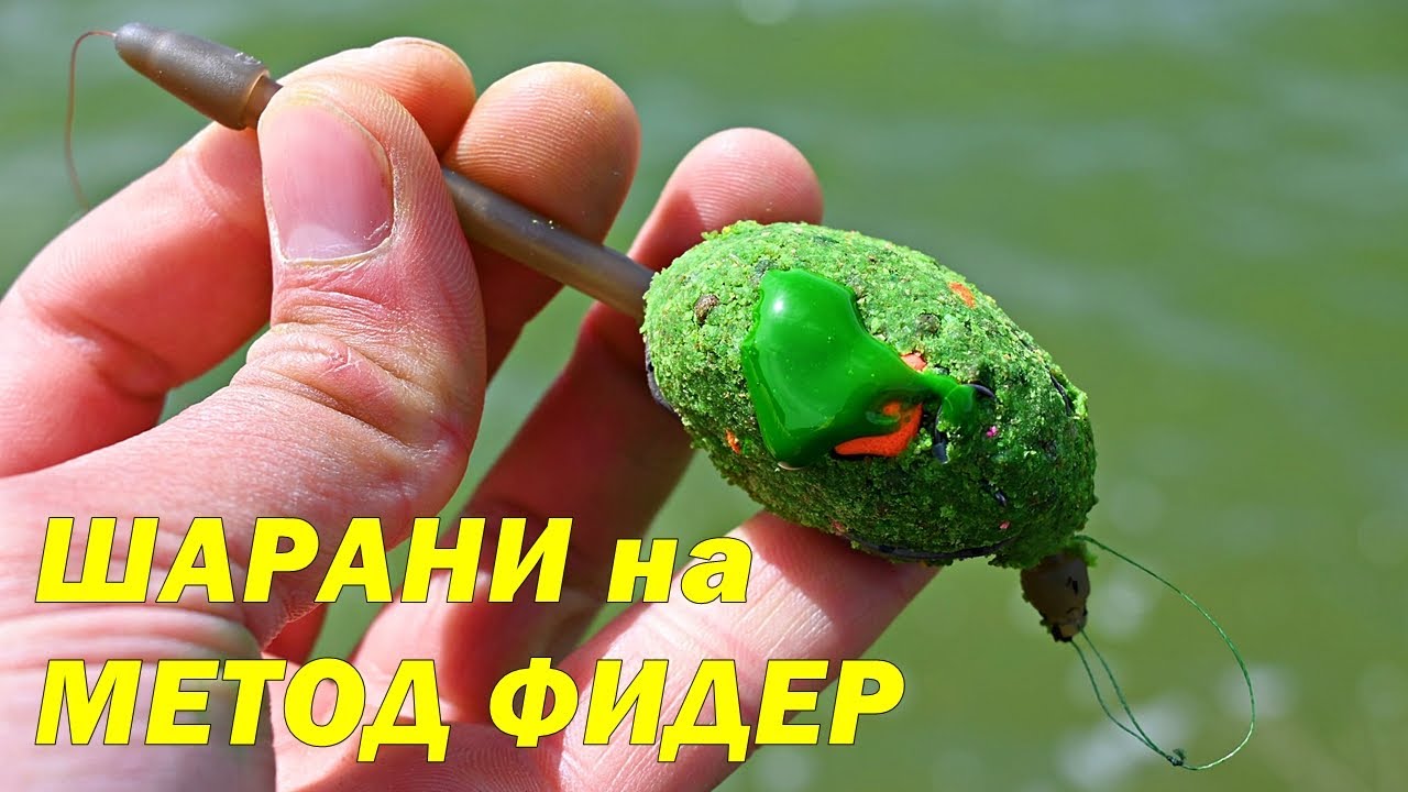 РИБОЛОВ на ШАРАНИ с МЕТОД ФИДЕР през ЕСЕНТА - МОНТАЖ и ЗАХРАНКИ