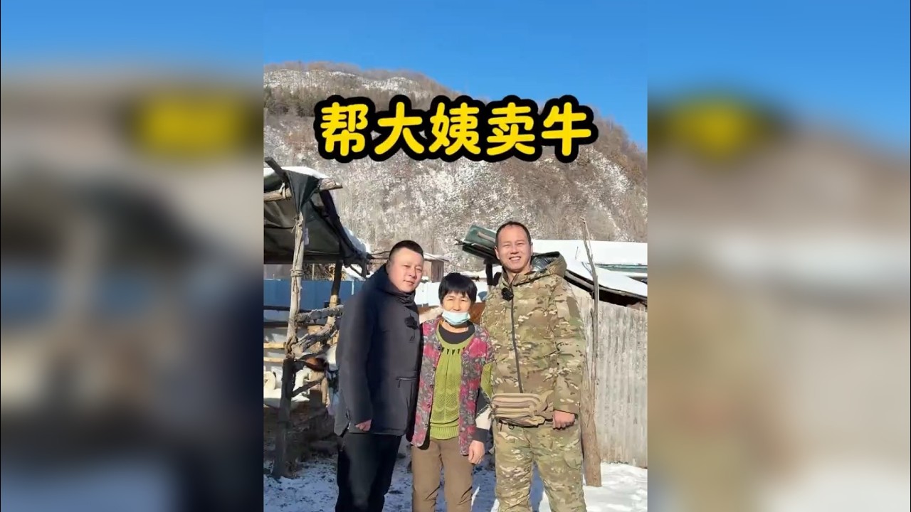 你们那里一头牛卖多少钱？尽自己最大的努力，为大姨解决燃眉之急！助农路上离不开大家的支持感谢关注我！