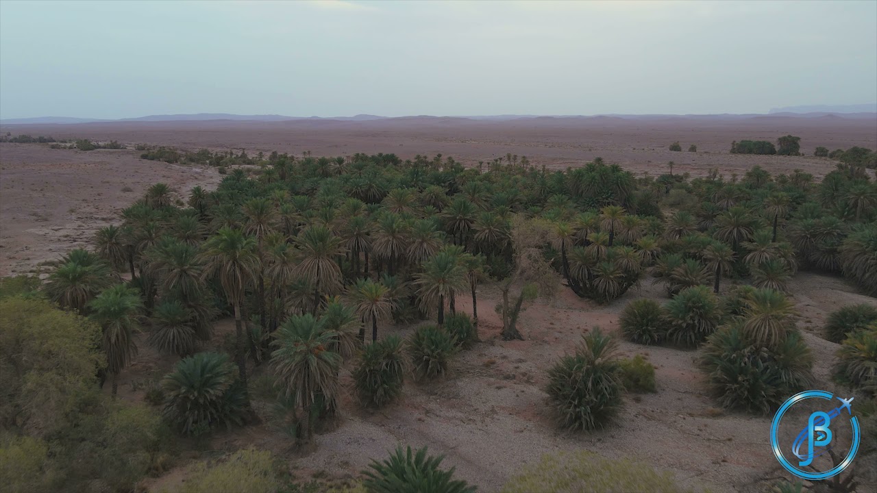 مدينة فندي -بني ونيف - بشار  جمال واحات الجنوب Fendi - Bechar