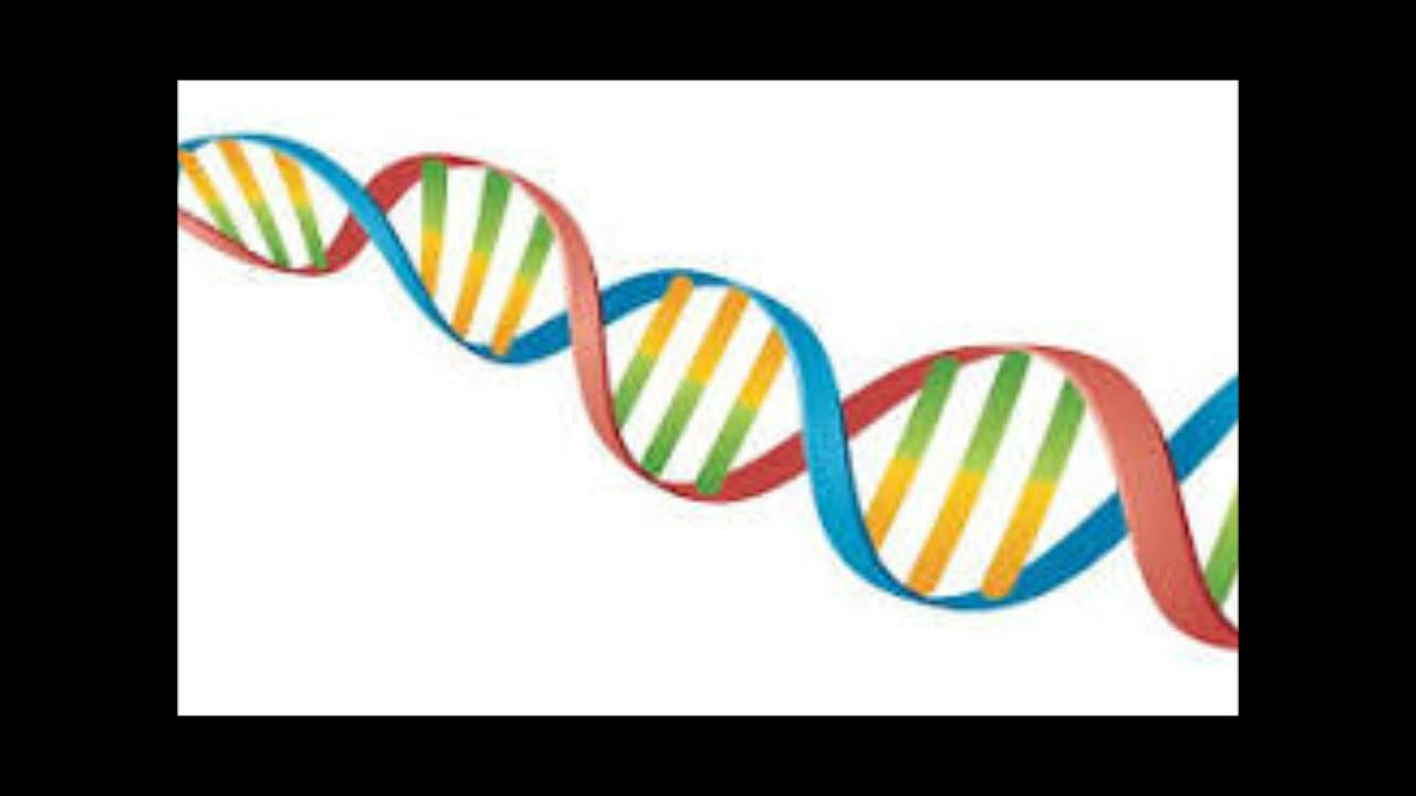 Biology #mcat   Biology-9 #sat #prep  #biology #science #quiz #scienceolympiad   #jeopardy