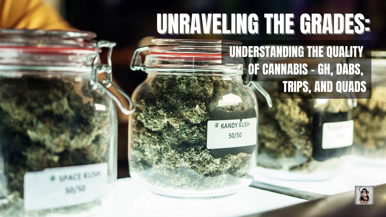 Understanding the Quality of Cannabis &ndash; Green House, Dabs, Trips, and Quads | The Weed Show