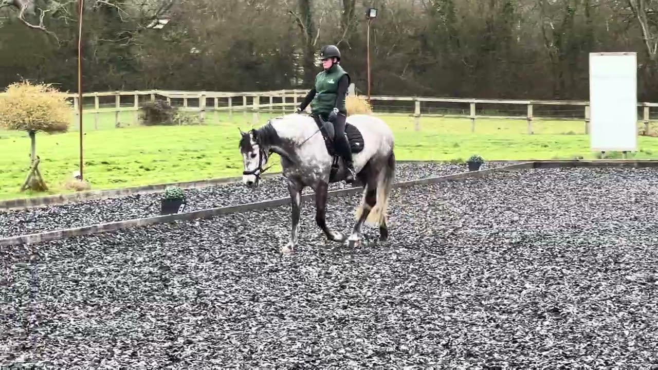 Nicola Sloper & cacique GC bd novice 6 March 2026