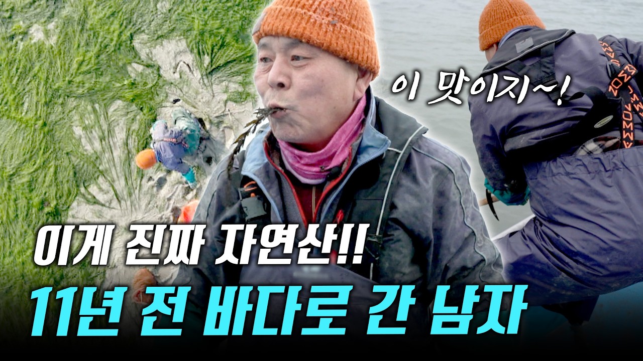 “감태 색깔 좀 보세요~ 이런 게 진짜 자연산입니다! 오늘은 고기 잡고 참몰 뜯으러 가려는데~ 얼굴 좀 보여주려나?”