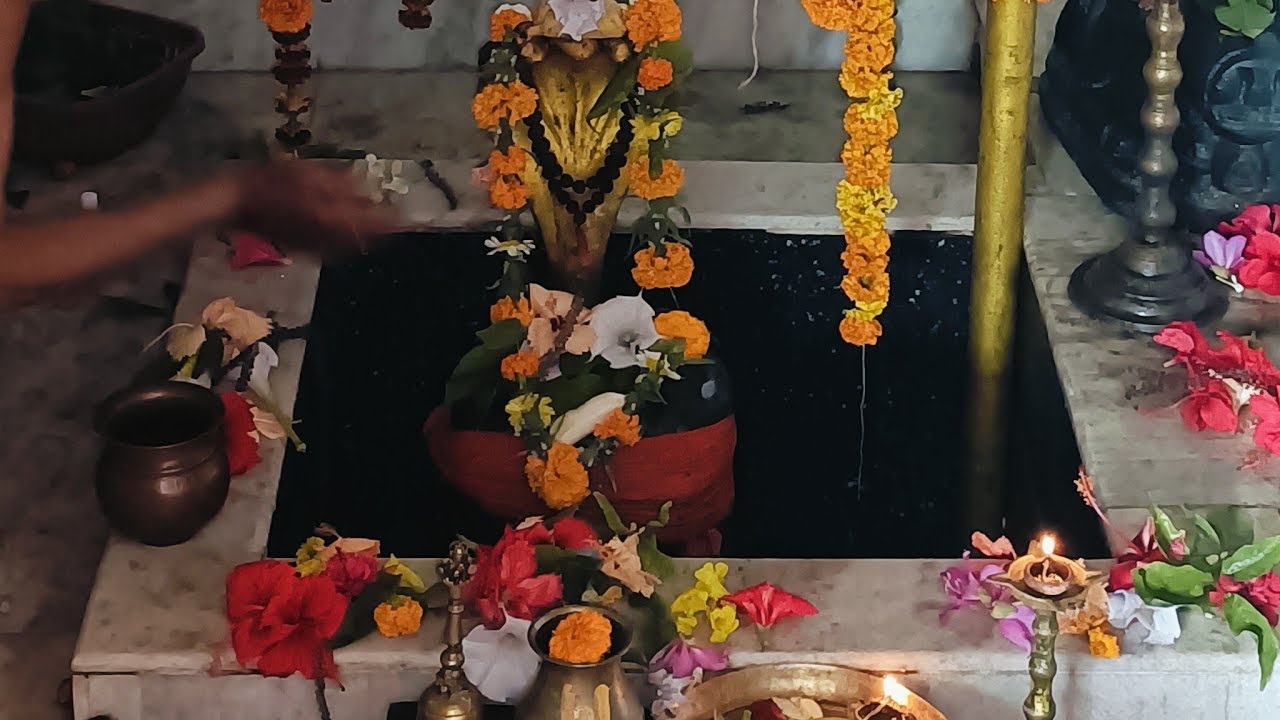Milu mama sardha is live//ଆସ ରେ କେତେ ଭଡୁଆ ଅଛ ମୁଁ ବି ଦେଖେ,ତମେ କେତେ ଭାଷା ସିଖିଚ