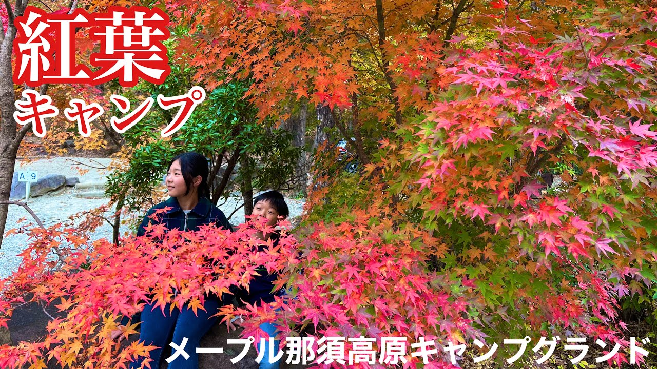 【紅葉キャンプ】秋はモミジ狩り🍁メープル那須高原キャンプグランドは居心地が最高すぎた