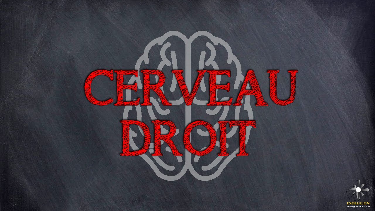 Une histoire de cerveau droit