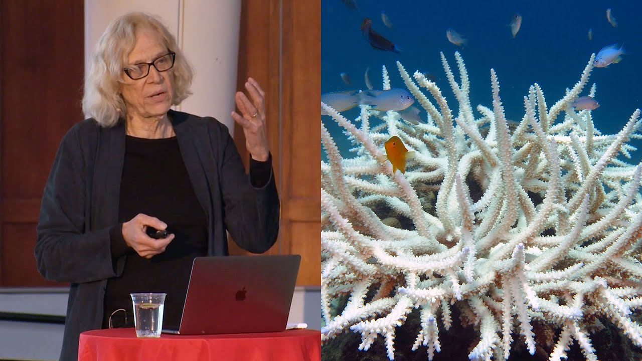 A Bright Future for Our Oceans? – AMNH SciCafe