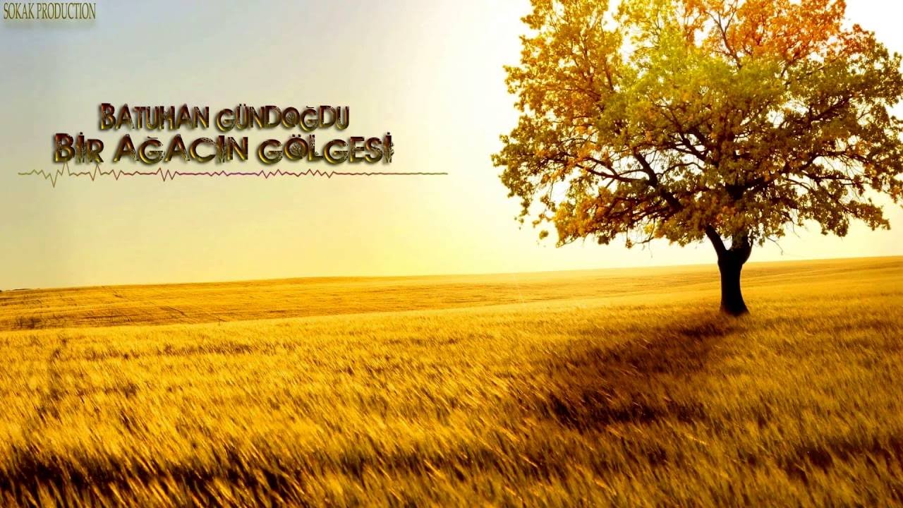Batuhan Gündoğdu - Bir Ağacın Gölgesi (2016)