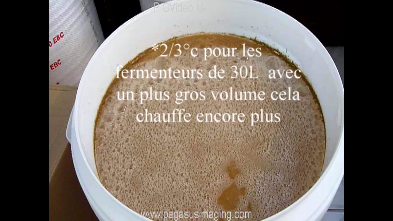 [TUTO]  bien mener sa fermentation,levure/temperature [BRASSAGE AMATEUR]