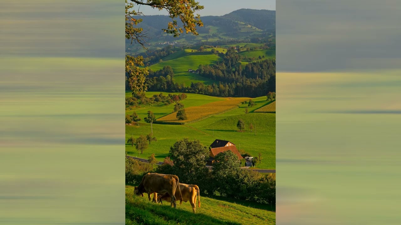 Return to Life 12 – Dealing with a traitor and his pal.