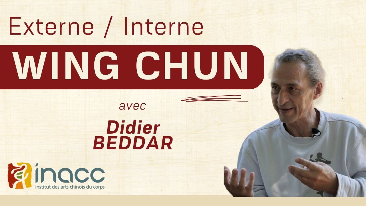 Externe/Interne. Parcours d'un maître de Wing Chun - Didier Beddar (entretien)