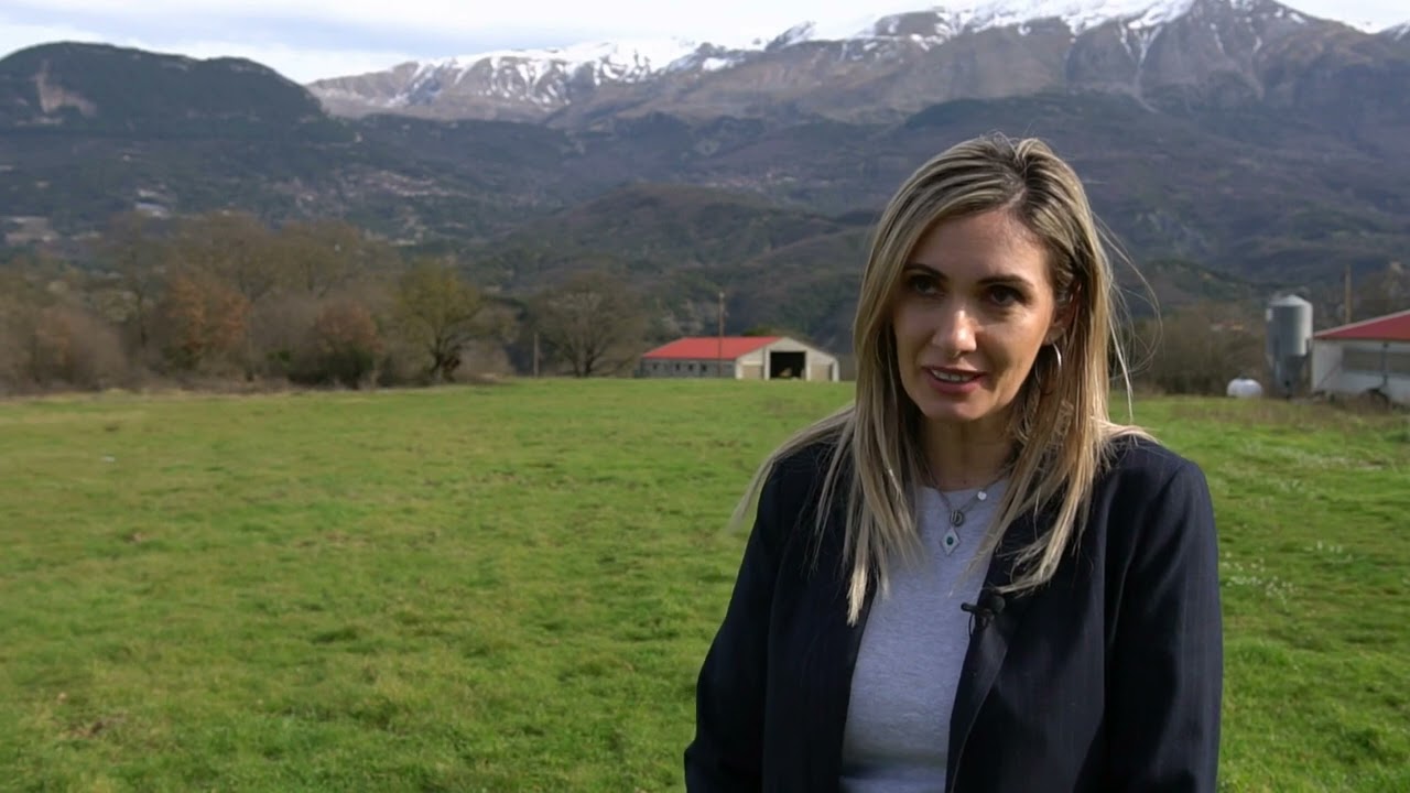 Ηπειρώτικη Γαστρονομία: Τα Κοτόπουλα Ελεύθερης Βοσκής που Κάνουν τη Διαφορά