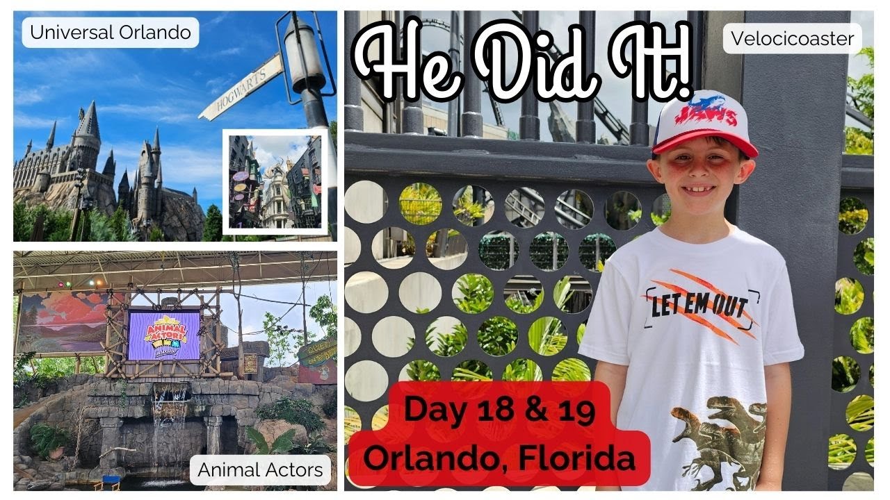Universal Resort Orlando | Rides, Shows & Magic | Walking Tour Rosen Shingle Creek