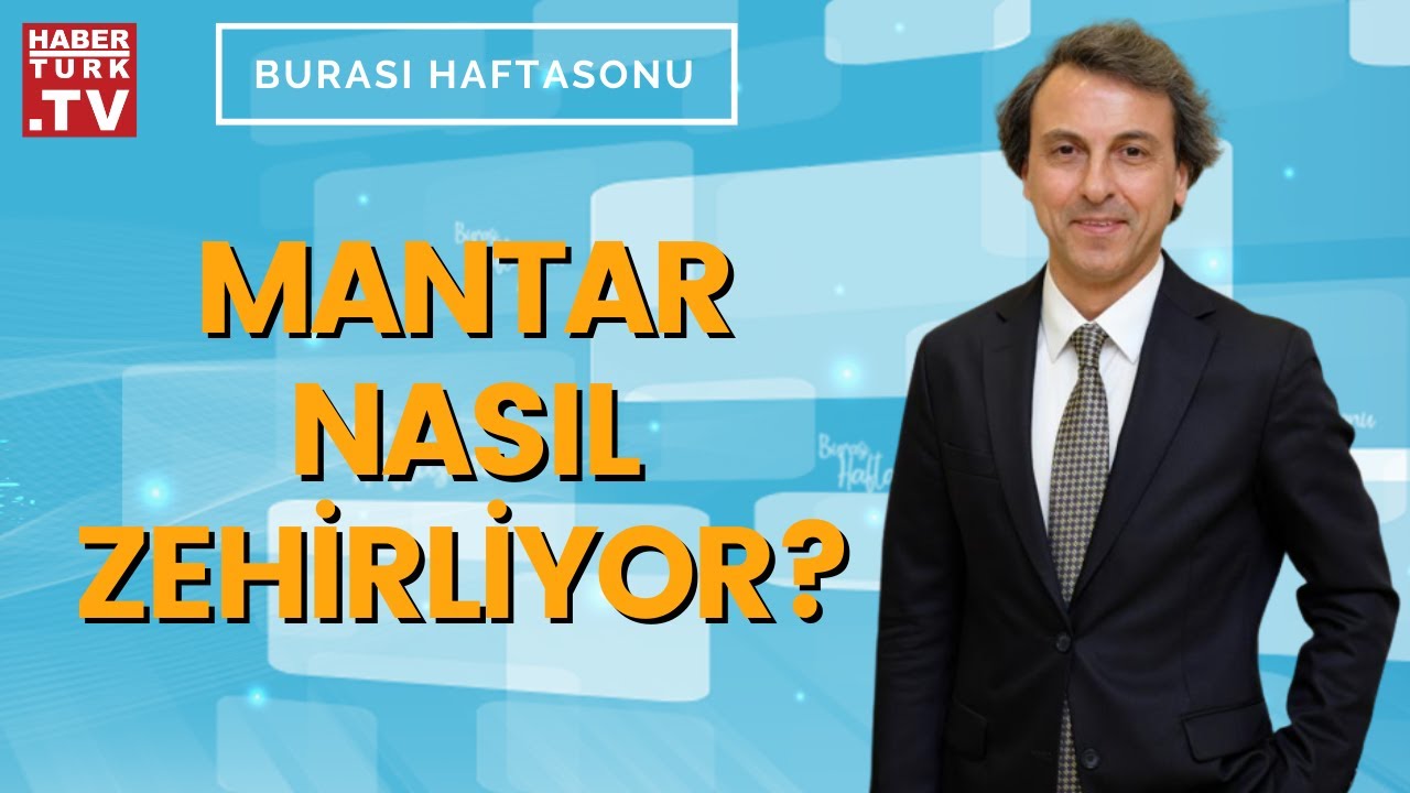 Mantar zehirlenmesi neden arttı? Ahmet Aydın değerlendirdi