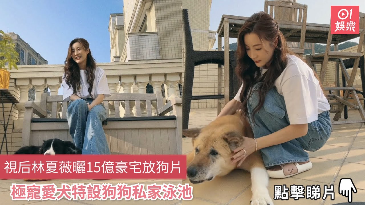 視后林夏薇曬15億豪宅放狗片　極寵愛犬特設狗狗私家泳池｜01娛樂