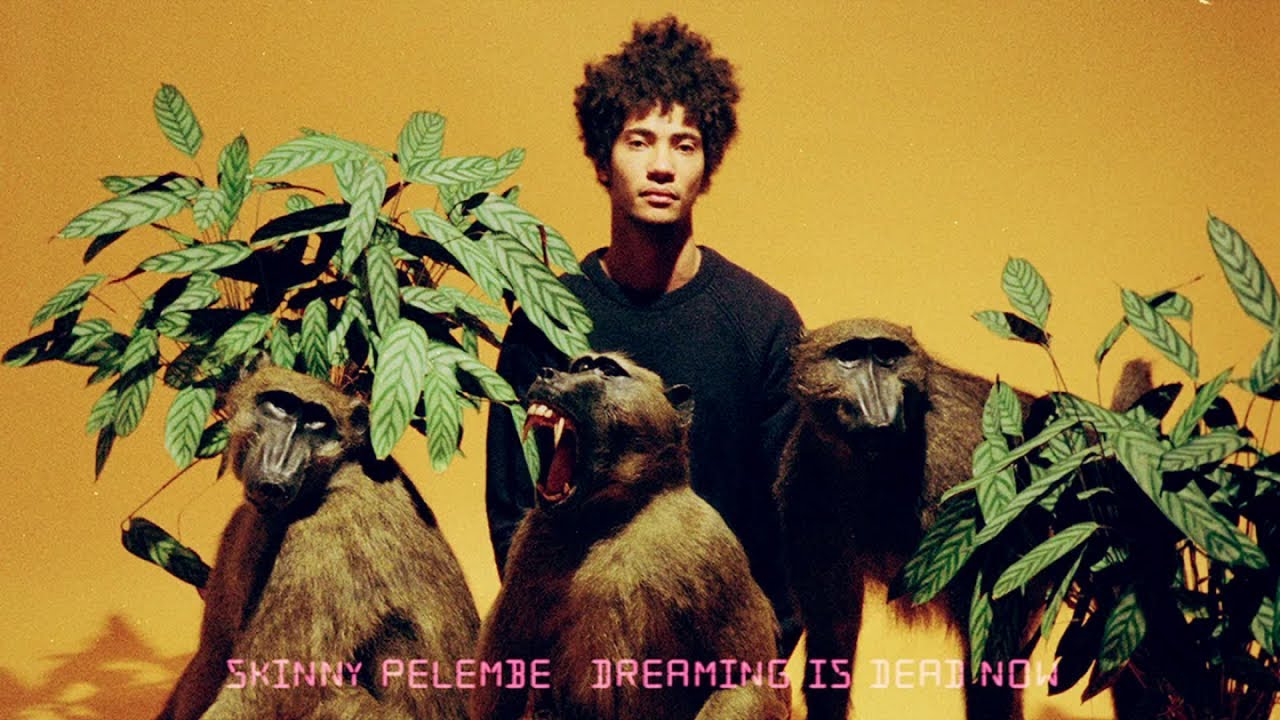 Skinny Pelembe - Dreaming Is Dead Now (Full Album Stream)