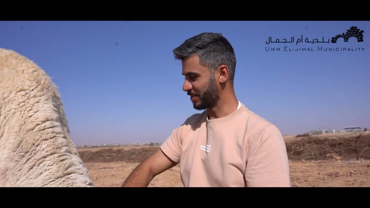 ام الجمال عندما يزهر البازيلت