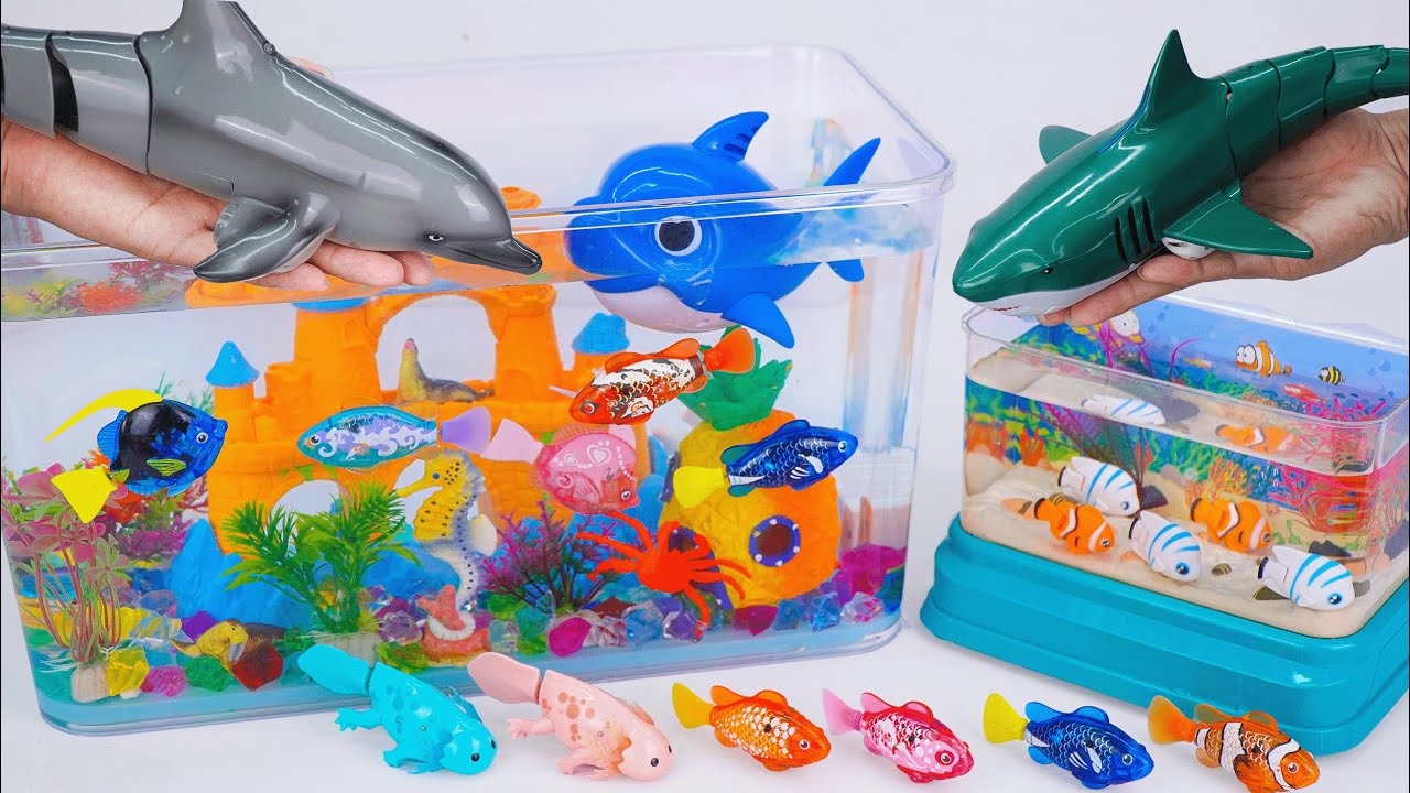 [Toy asmr] RC Dolphin & RC Shark & Zuru Robo Fish & Harp's Aquarium ASMR Satisfying with Unboxing