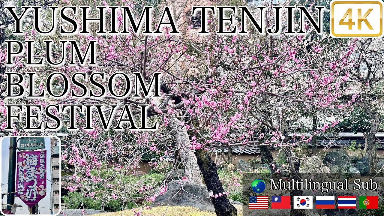 湯島天神梅まつり 2026/2/14 YUSHIMA TENJIN PLUM BLOSSOM FESTIVAL 4K