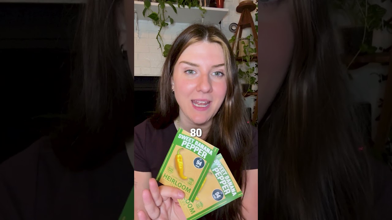 Grow sweet banana peppers from seed 🌱