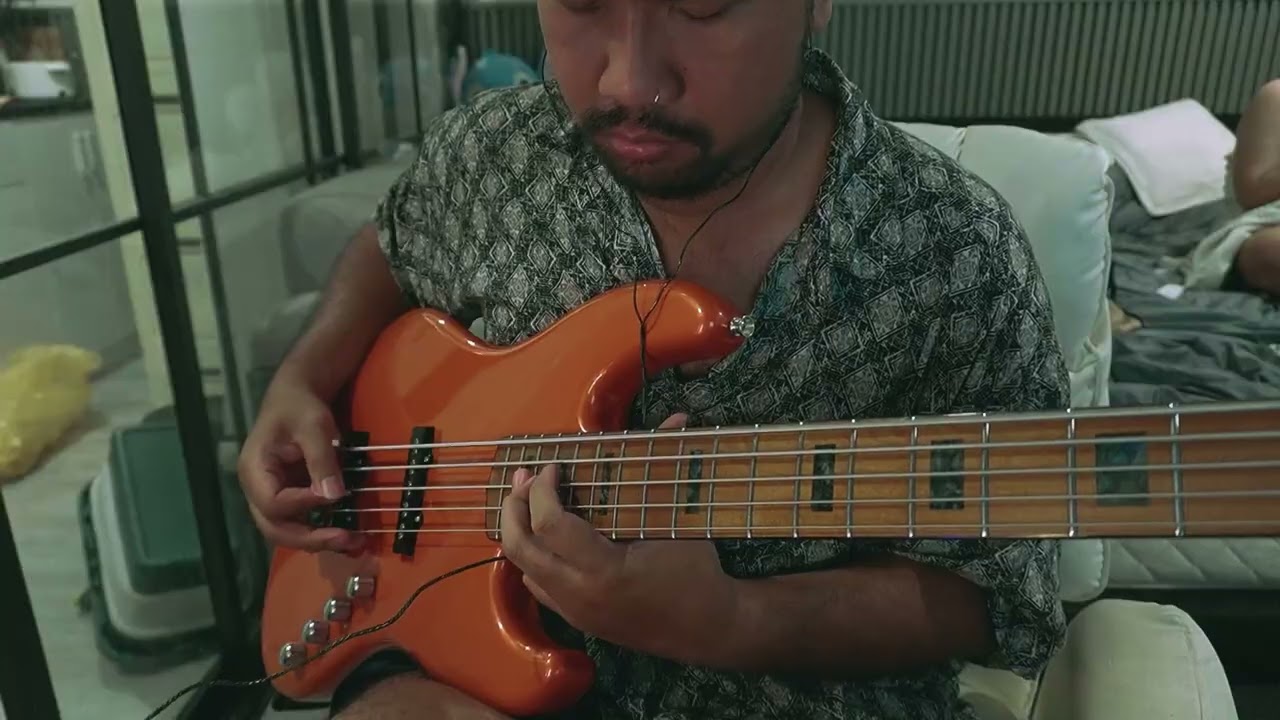 จากตรงนี้ที่(เคย)สวยงาม [La La Bye] - AYLA's  BASS COVER