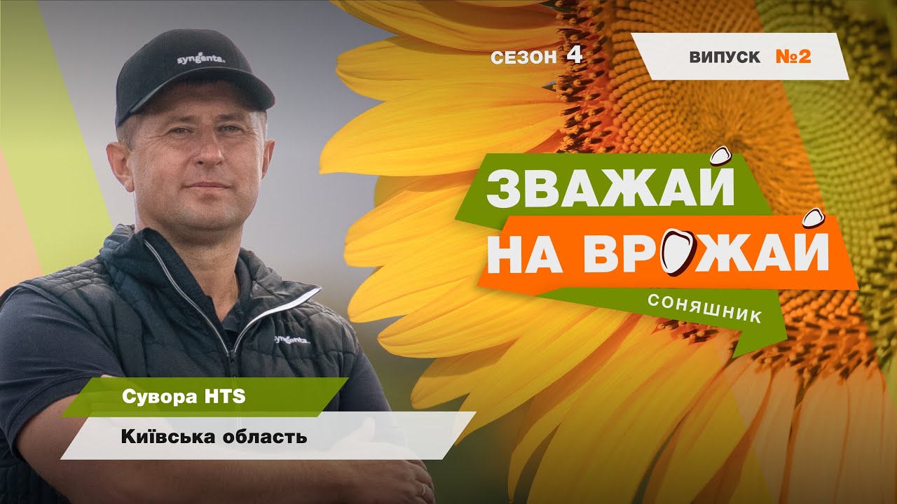 #Зважай_на_врожай. Збір урожаю гібрида соняшнику Сувора. Київська обл.🌻