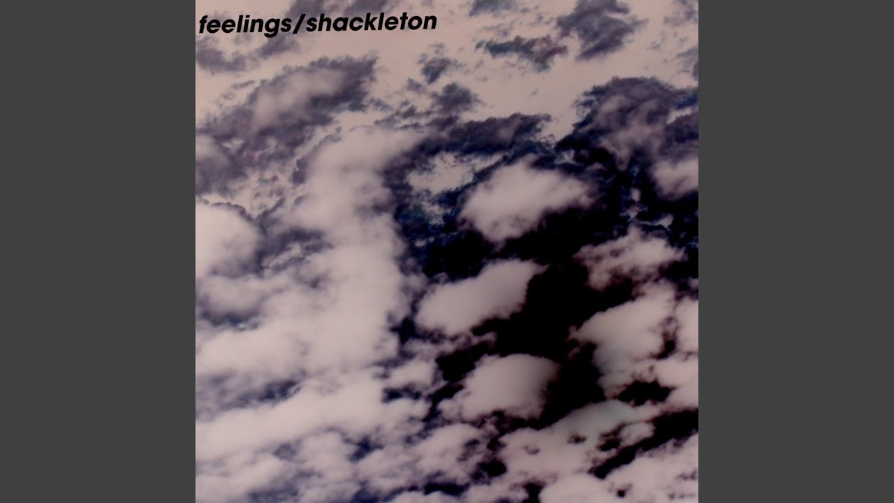 Feelings